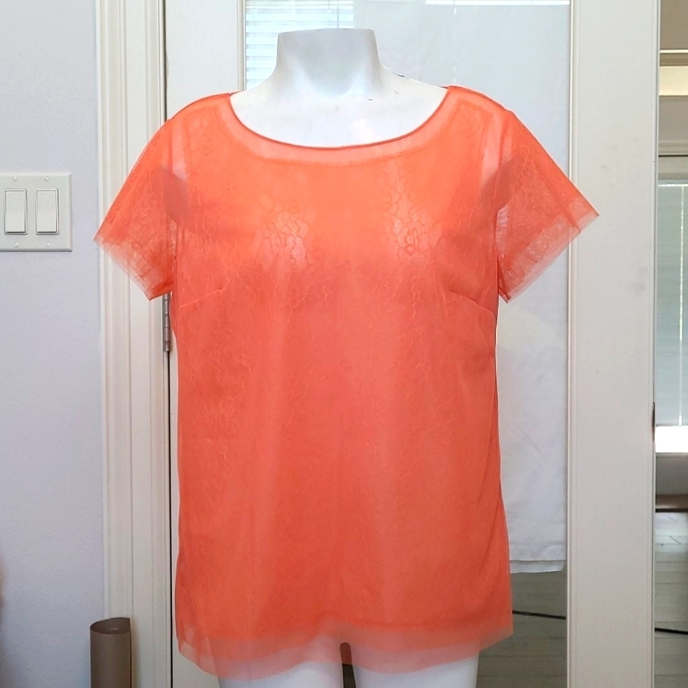 NWT Ann Taylor Orange Sheer Floral Cap Sleeve Top